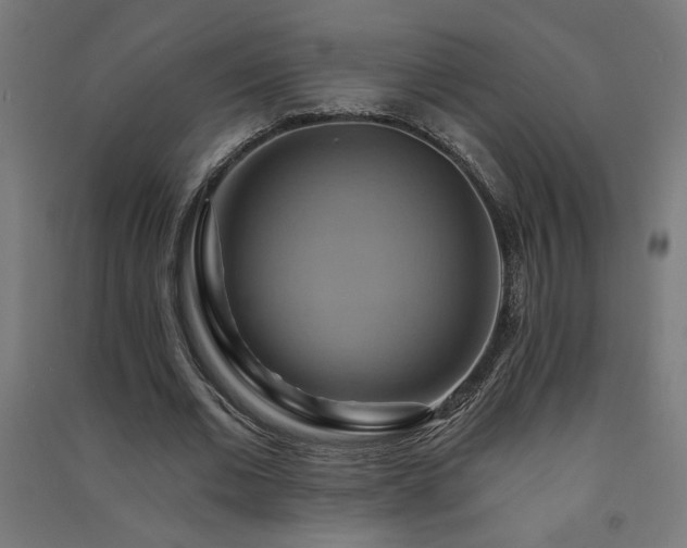 X0000091580677200708201208