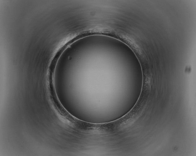 X0000091580678200708201208