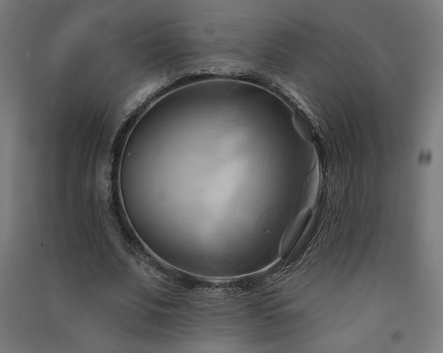 X0000091580679200708201208