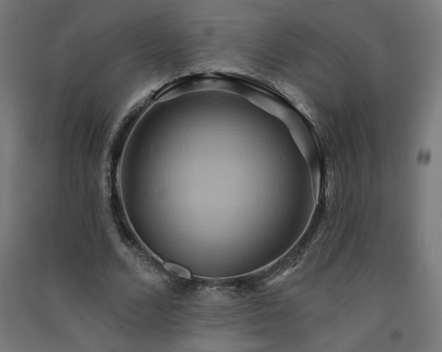 X0000091580680200708201208