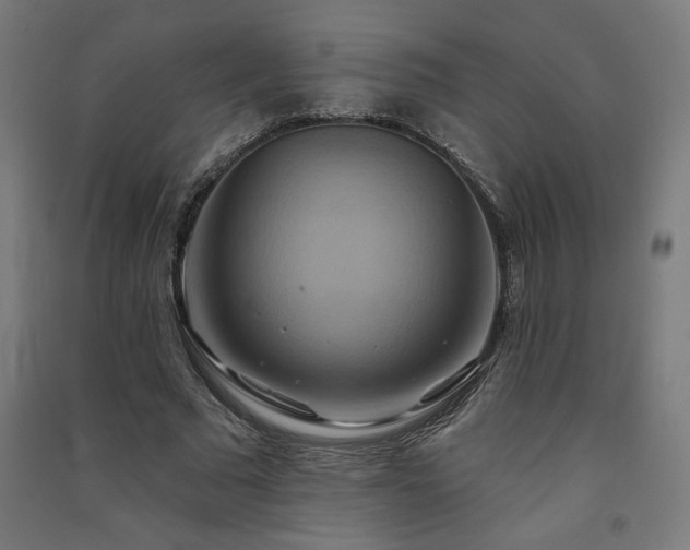 X0000091580681200708201208