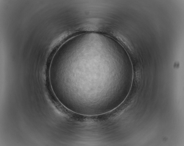 X0000091580682200708201208