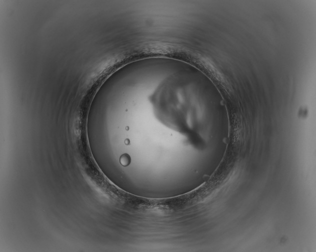 X0000091580683200708201208