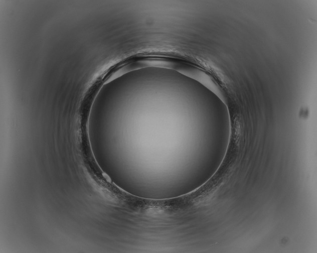 X0000091580684200708201208