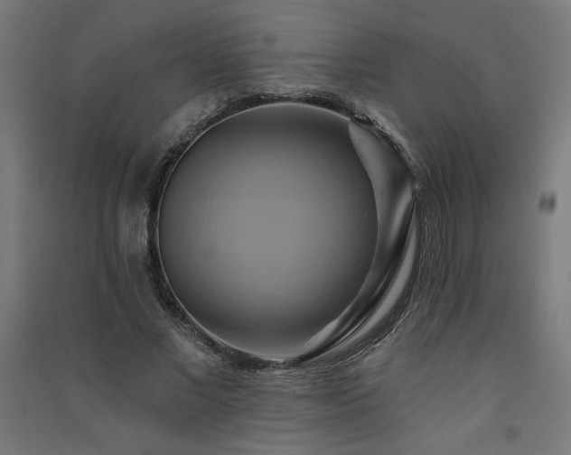X0000091580685200708201208