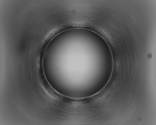 X0000091580686200708201208