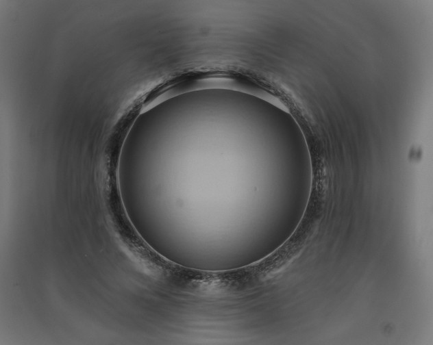 X0000091580688200708201208