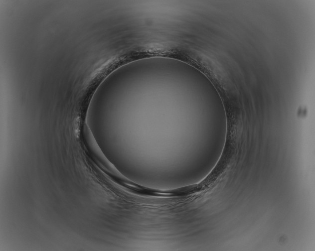 X0000091580689200708201208