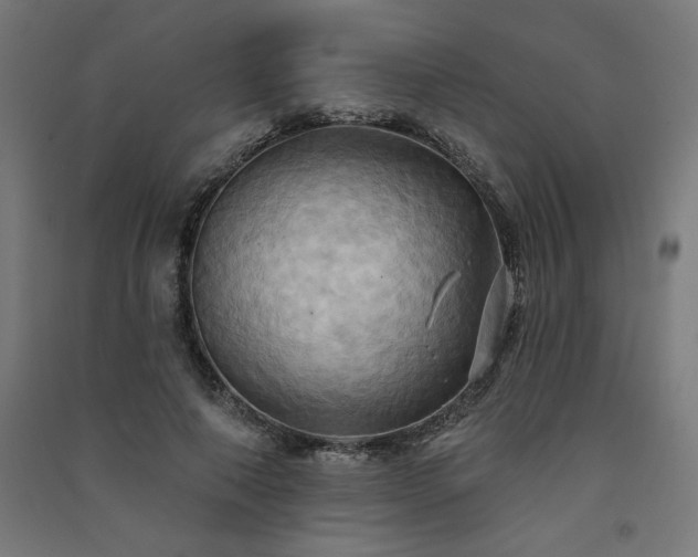 X0000091580690200708201208