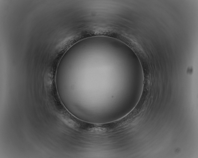 X0000091580691200708201208