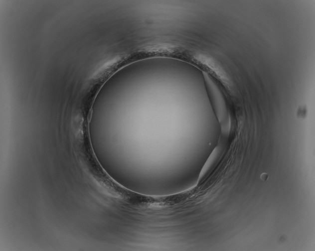 X0000091580692200708201208