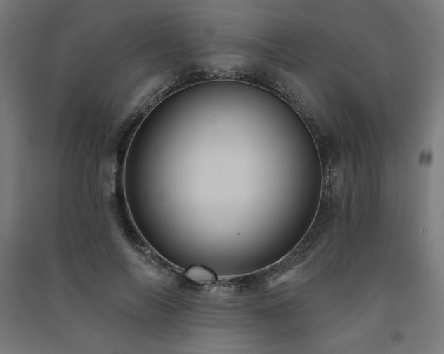 X0000091580694200708201208