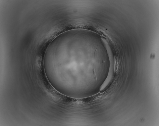 X0000091580695200708201208