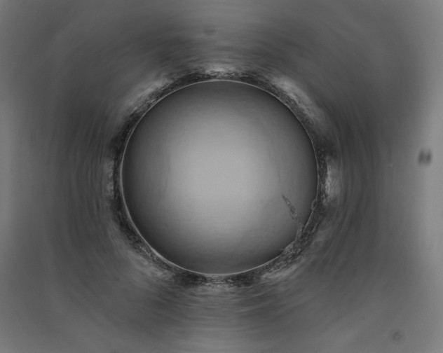 X0000091580696200708201208