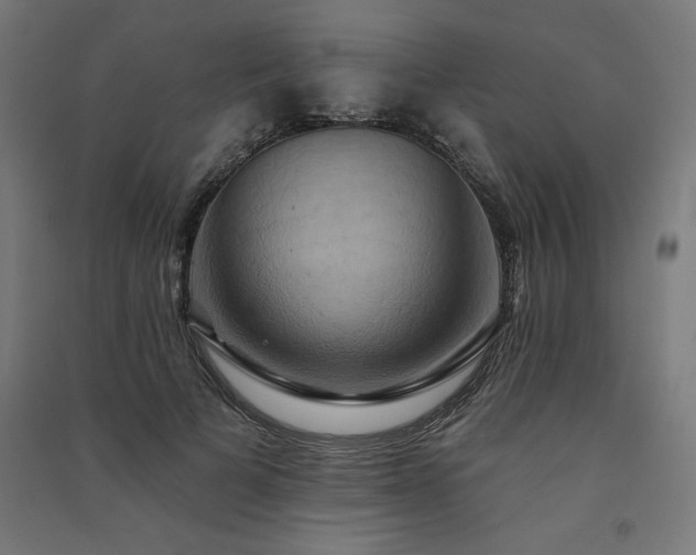 X0000091580697200708201208