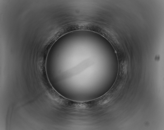 X0000091580698200708201208