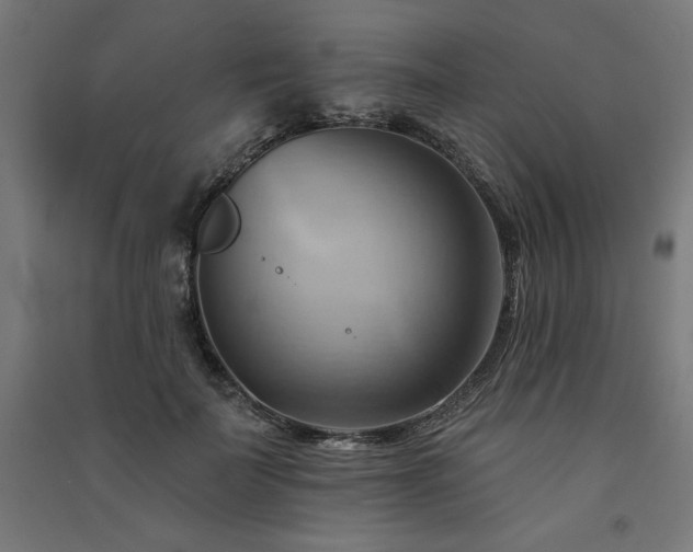 X0000091580699200708201208