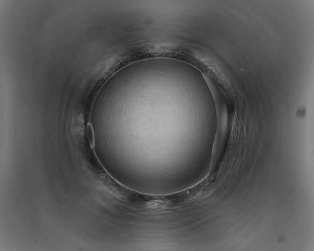 X0000091580700200708201208