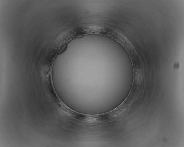 X0000091580701200708201208