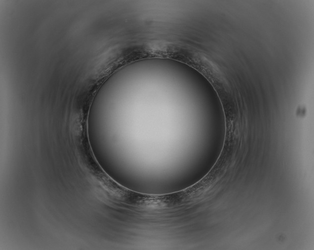 X0000091580702200708201208