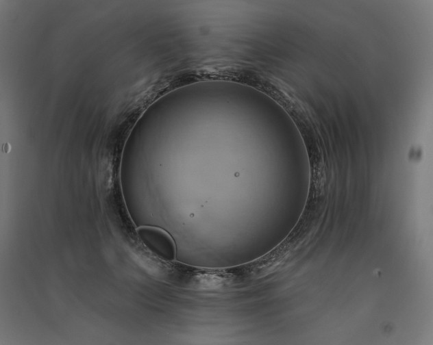 X0000091580703200708201208