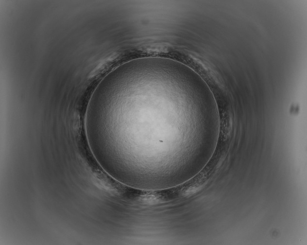 X0000091580704200708201208