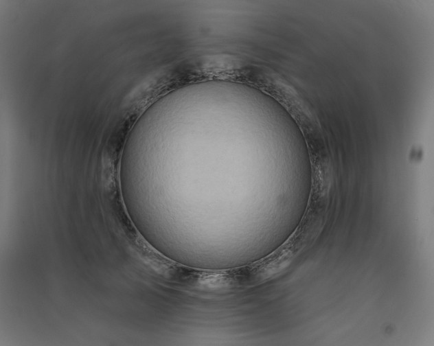 X0000091580705200708201208