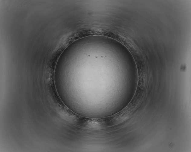 X0000091580706200708201208