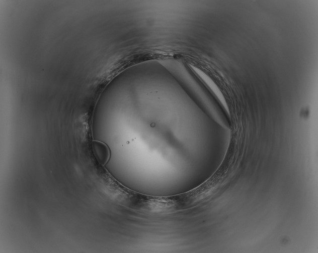 X0000091580707200708201208