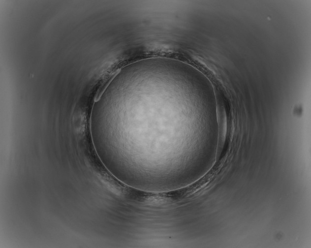 X0000091580708200708201208