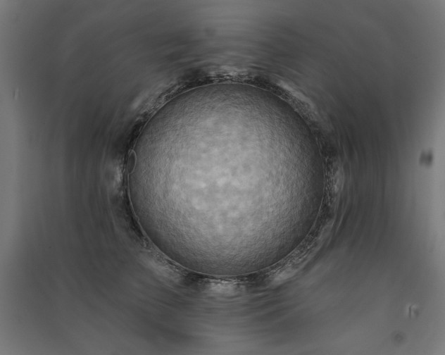 X0000091580709200708201208