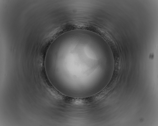 X0000091580710200708201208