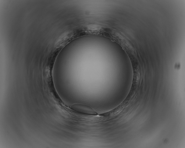 X0000091580711200708201208