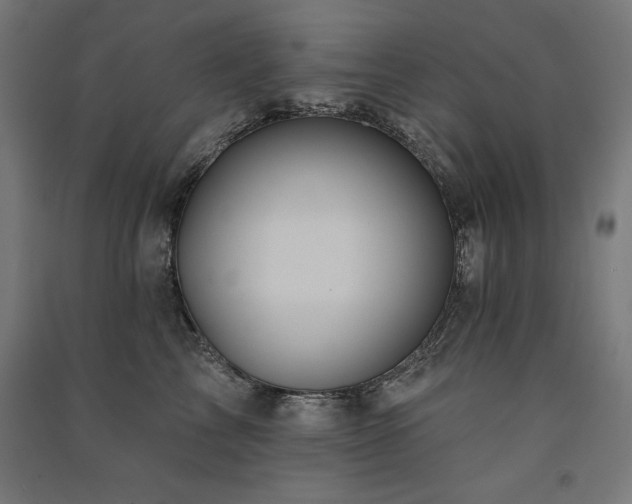 X0000091580713200708201208