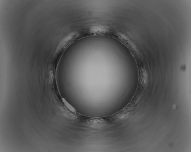 X0000091580716200708201207