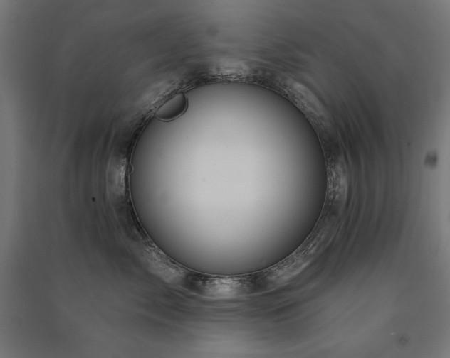 X0000091580717200708201207