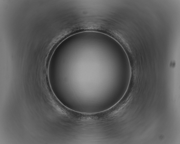 X0000091580721200708201207