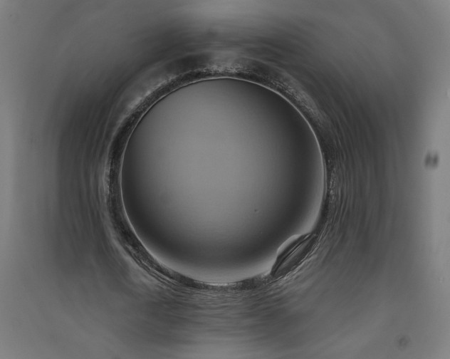 X0000091580722200708201207
