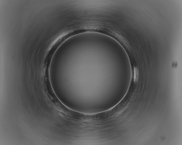 X0000091580723200708201207