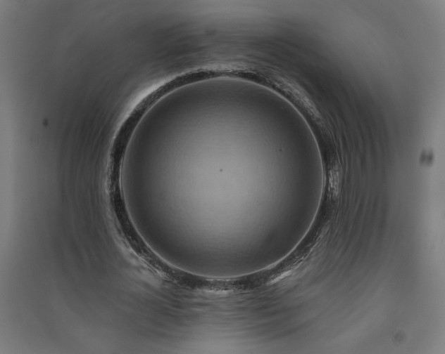 X0000091580724200708201207