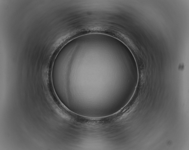 X0000091580725200708201207