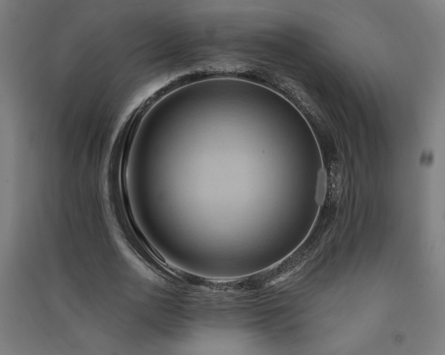 X0000091580726200708201207