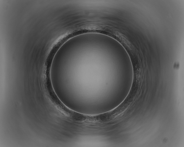 X0000091580727200708201207