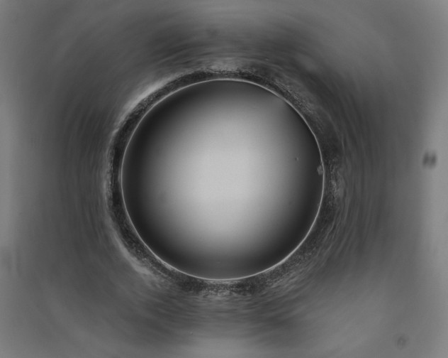 X0000091580728200708201207