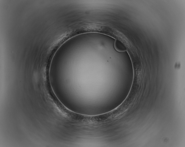 X0000091580729200708201207