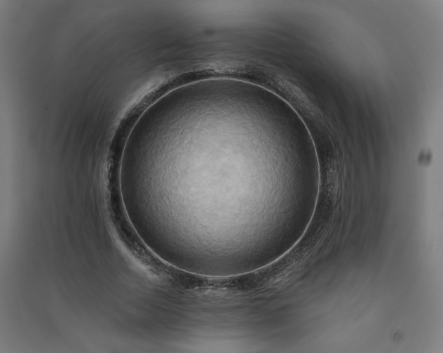 X0000091580730200708201207