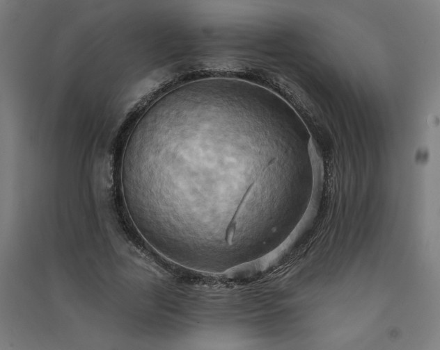 X0000091580731200708201207