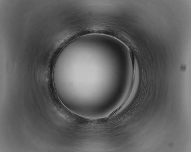 X0000091580732200708201207