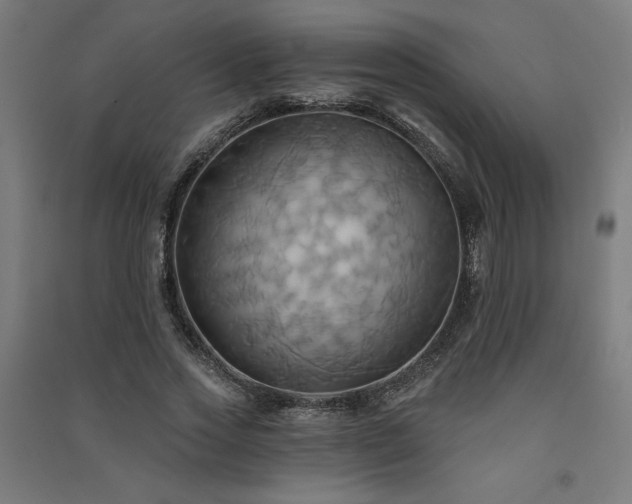 X0000091580733200708201207