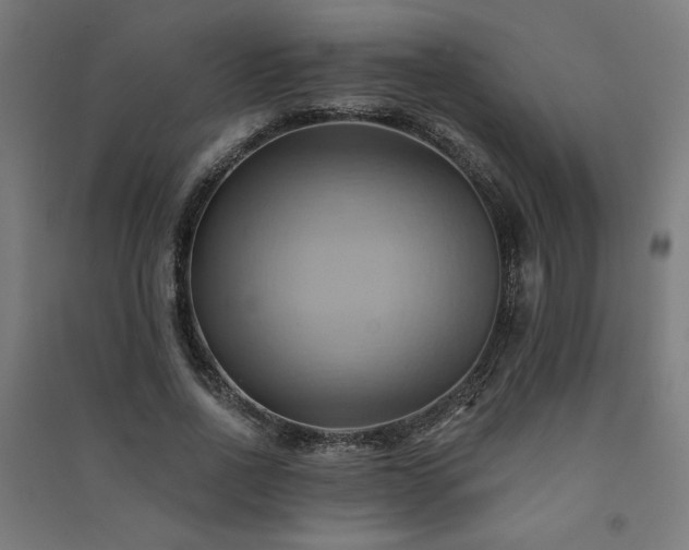 X0000091580734200708201207